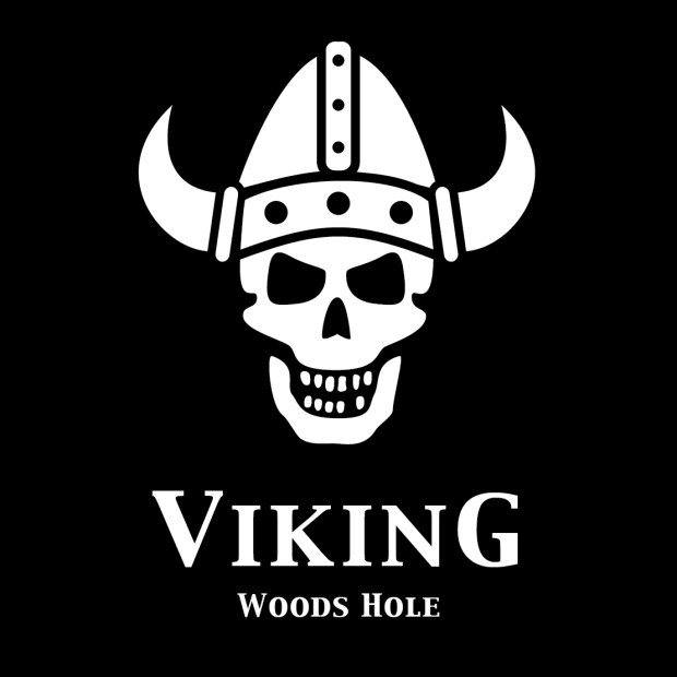 viking_logo